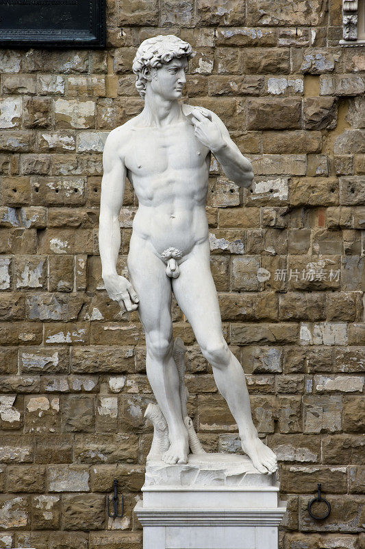 米开朗基罗的大卫正面视图在佛罗伦萨，意大利