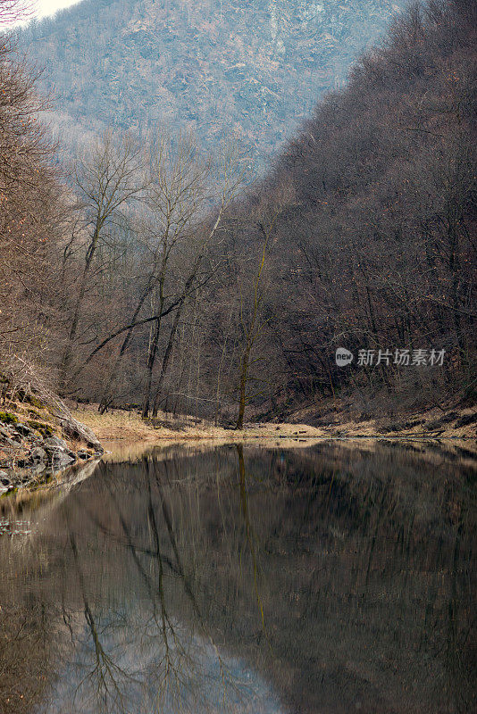 自然湖畔风景:阿尔卑斯山冬季的小湖