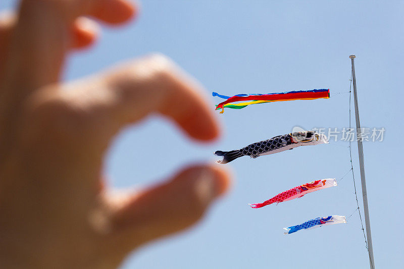 Koinobori,鲤鱼等浮电缆