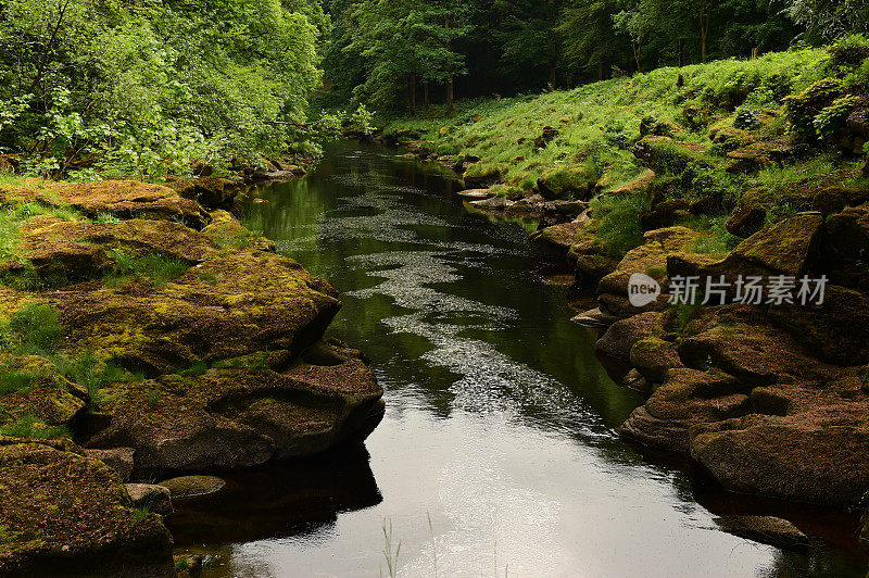 林间河流穿石景观