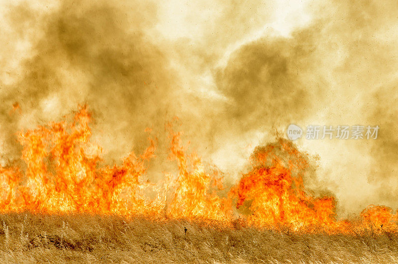 农村农场附近草地野火燃烧产生的烟雾和火焰