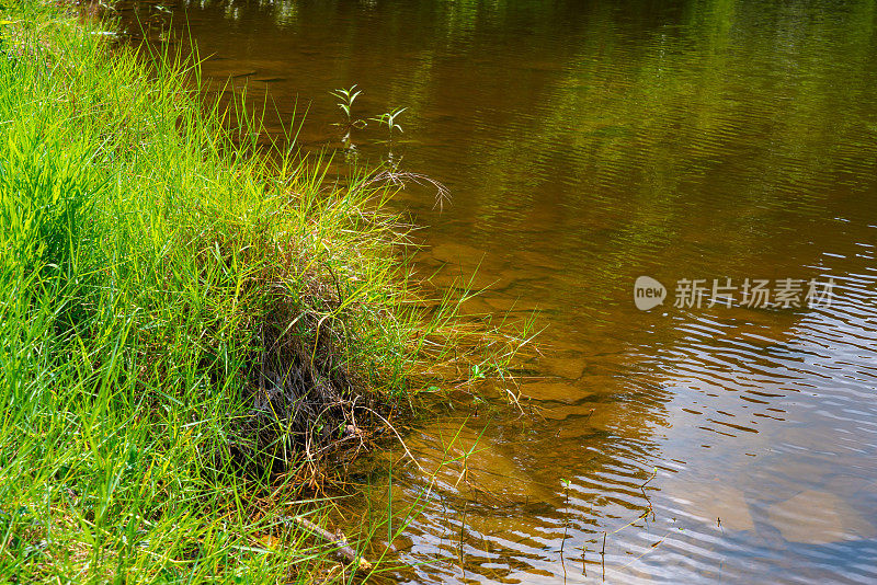 香港流水乡水塘景色