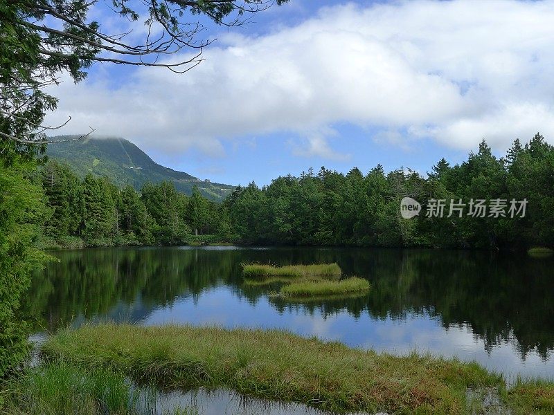 志贺高地(日本志贺越国立公园志贺山)