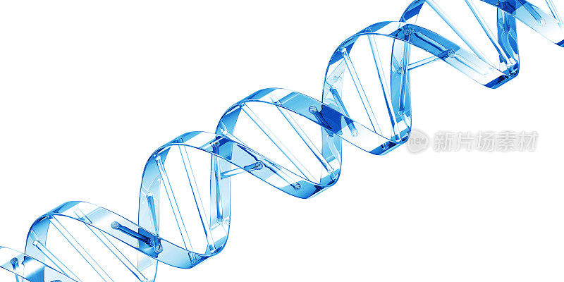DNA孤立的概念