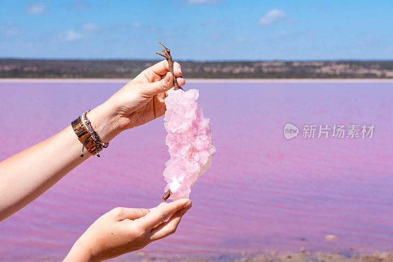 手握天然盐晶体从粉红色湖赫特泻湖的岸边在港格雷戈里，西澳大利亚，西澳大利亚州
