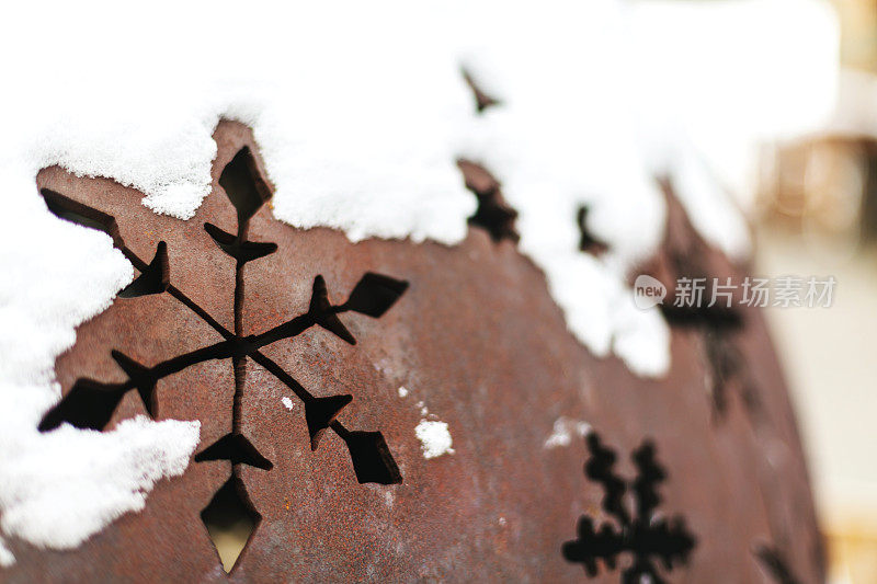 雪锈球在科罗拉多山脉美国摄影系列