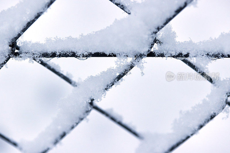 这是4月一张被雪晶覆盖的铁丝网的特写