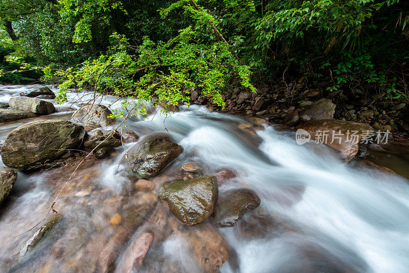 林间溪流，自然风光