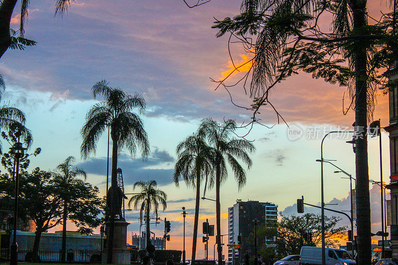 在澳大利亚布里斯班，热带树木的剪影映衬着建筑和色彩斑斓的南半球日落。