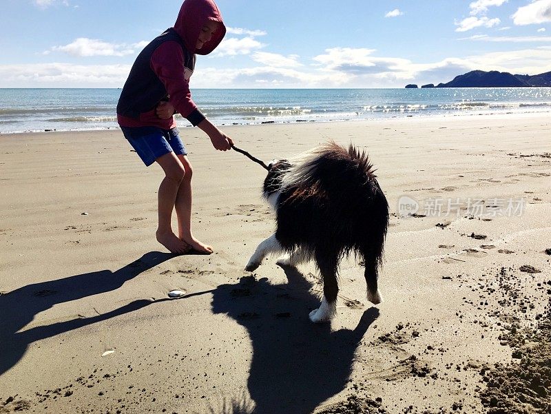 男孩和他的宠物边境牧羊犬在海滩上