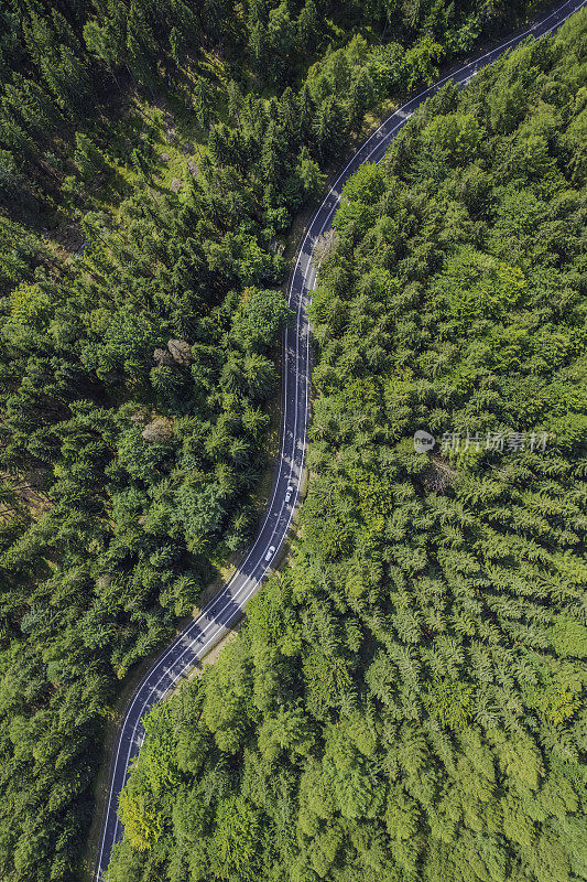 鸟瞰绿色森林中的山路