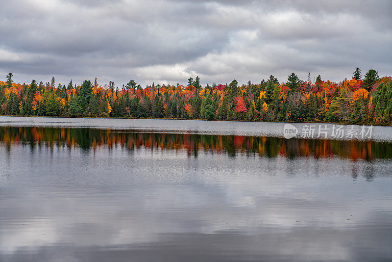 秋天的派克湖小径，阿尔冈昆省公园，安大略省，加拿大