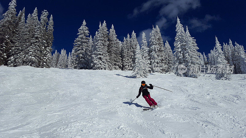 专业成熟的女子滑雪者和积雪覆盖的树木。科罗拉多州的汽船滑雪胜地