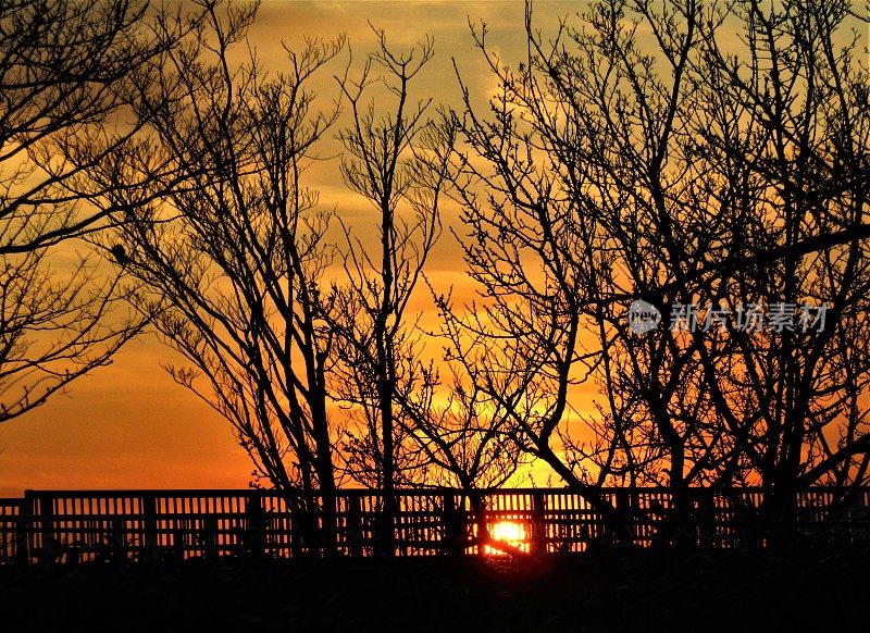 日本。2月。透过树枝和桥看夕阳。