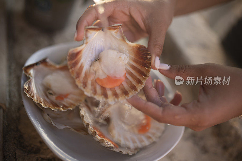 贝壳里的生扇贝特写