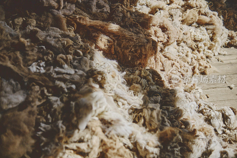 羊驼毛制造工厂的纤维。秘鲁羊驼毛生产，重点选择。