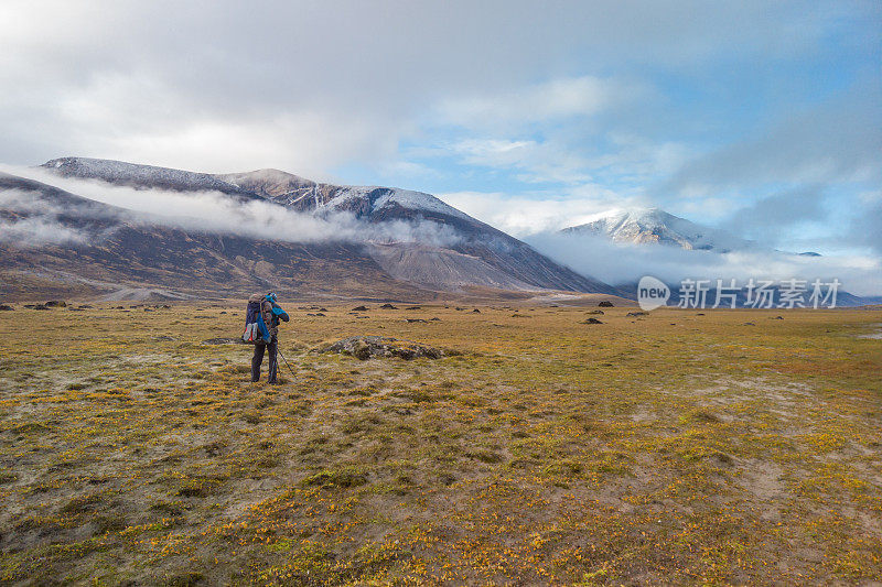 在一个多云的夏日里，徒步旅行者正在穿越遥远的北极山谷。加拿大巴芬岛阿克沙约克山口戏剧性的北极景观。秋色的青草和青苔。