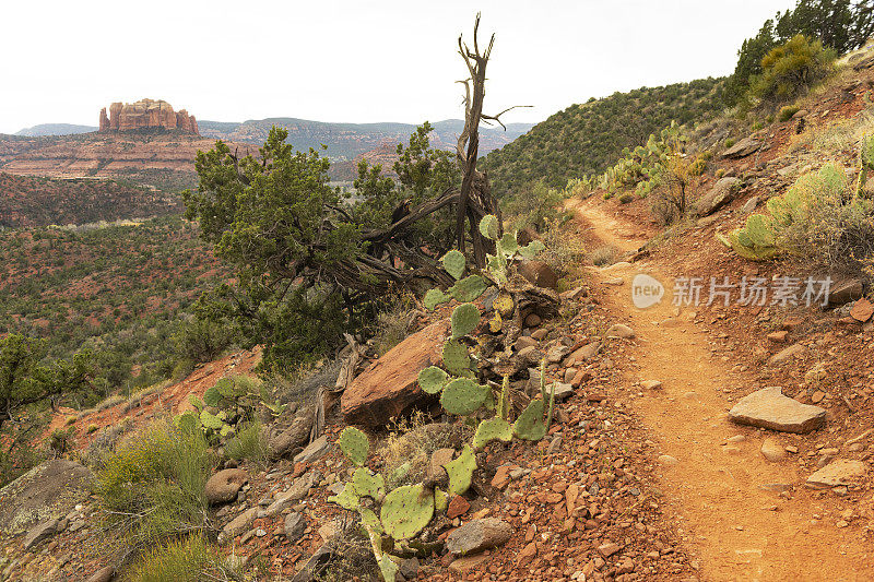 亚利桑那州风景秀丽的塞多纳徒步旅行路线