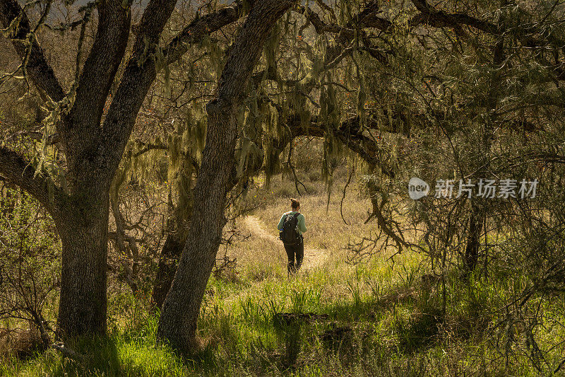 女徒步旅行者被困在长满苔藓的树上
