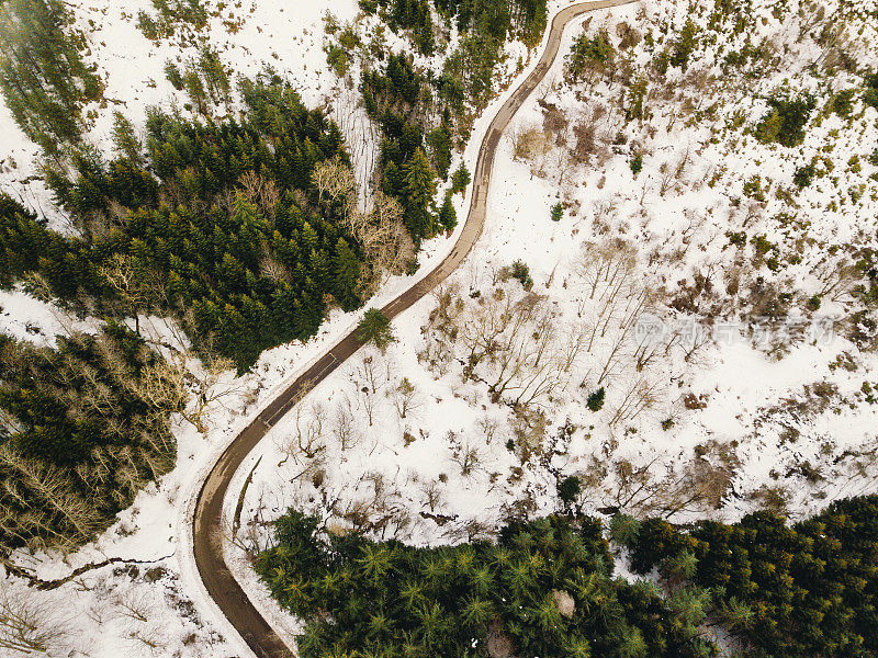 森林中道路的鸟瞰图，两侧有雪