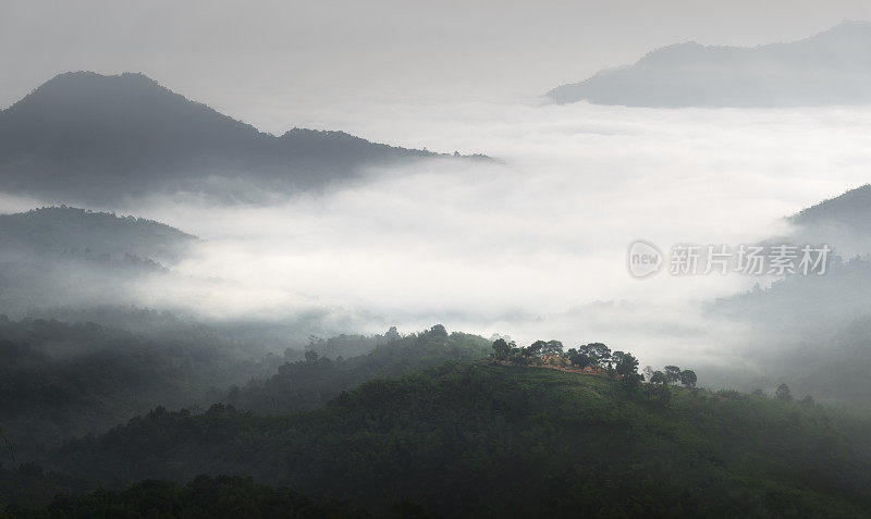 美丽的阳光在山上，一个雾蒙蒙的早晨在清莱，泰国