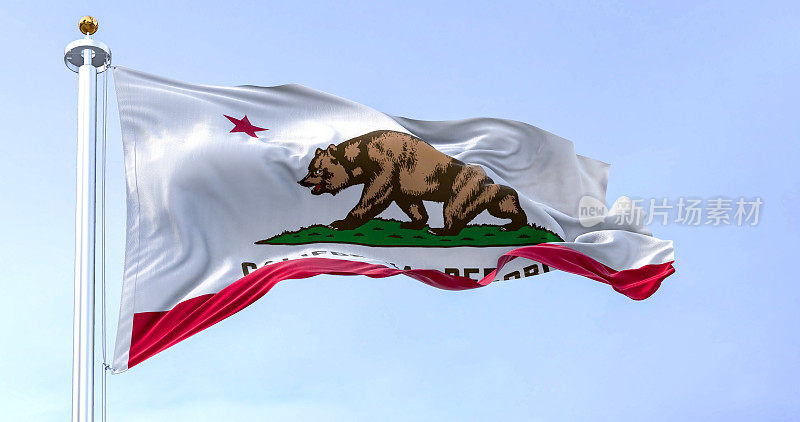 加州州旗在晴朗的日子里飘扬
