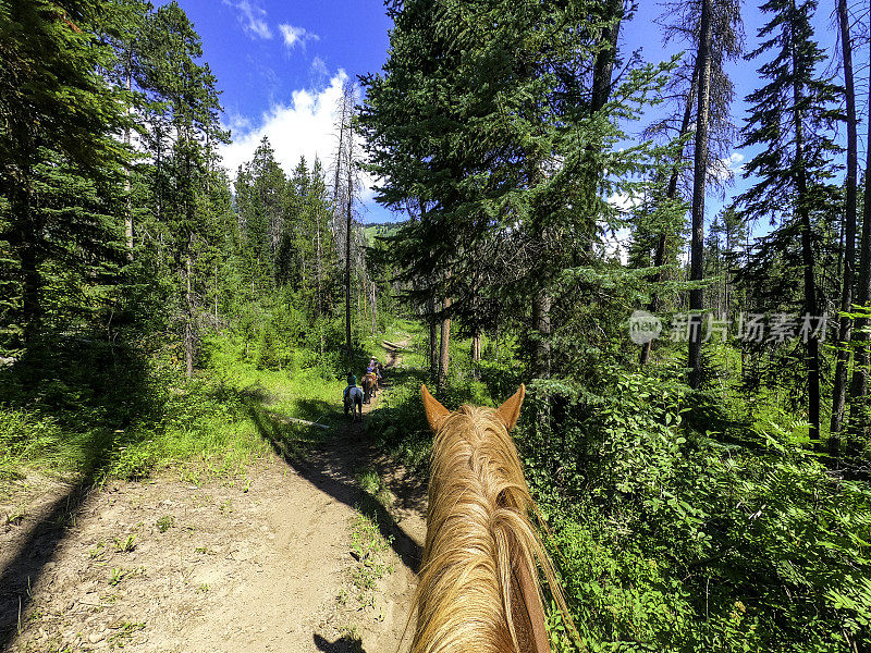 个人视角和孩子们骑马穿过国家公园，风景优美