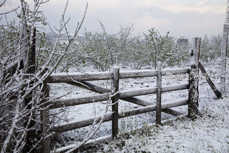 在一个阳光明媚的冬日，围栏花园中的雪景