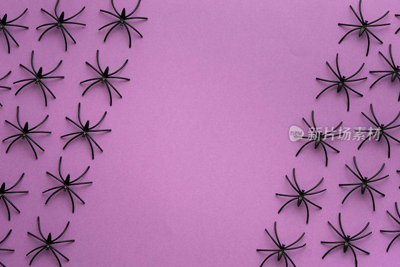 万圣节的紫色背景装饰有一群爬行的蜘蛛