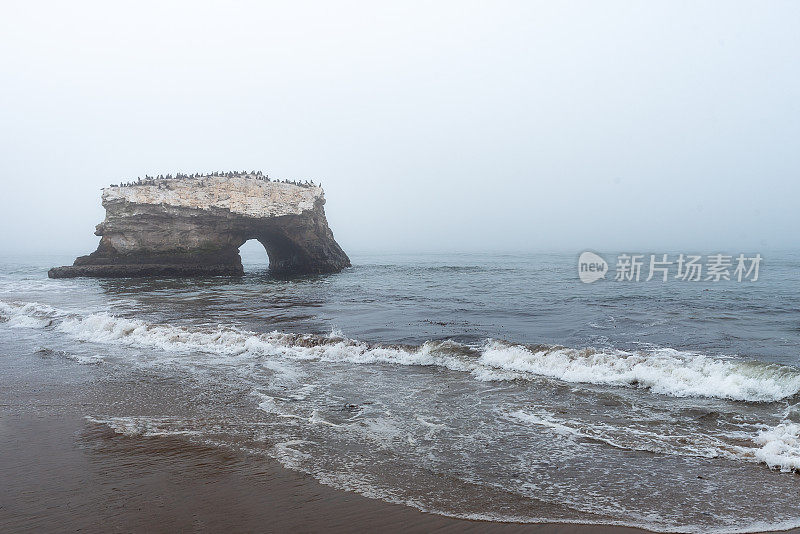 加州圣克鲁斯州立海滩的海底隧道