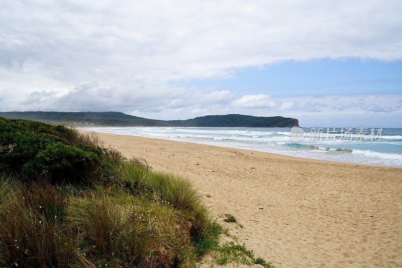 银锈和茶灰色的沙子，蓝烟水域，梧桐黄色树叶，曲奇海滩，南杜拉斯，新南威尔士州