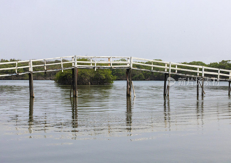 韦拉克鲁斯州曼丁加的红树林泻湖桥