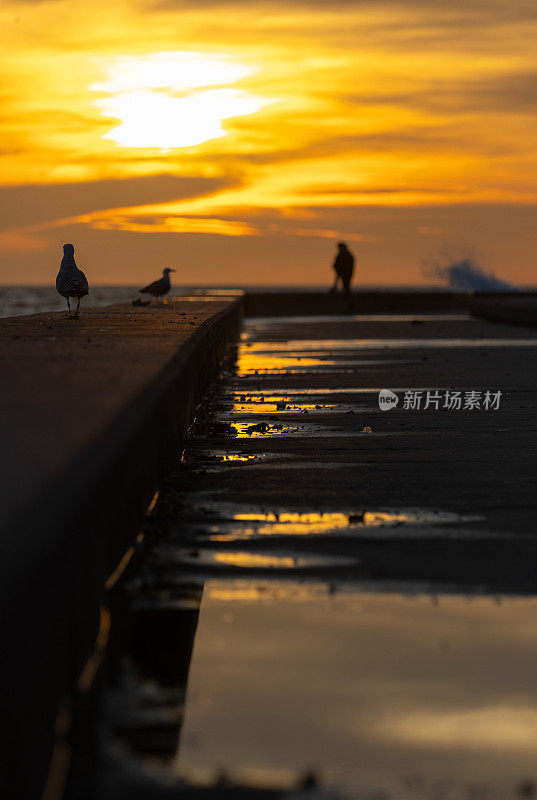 太阳在地平线上落下，景色壮观。