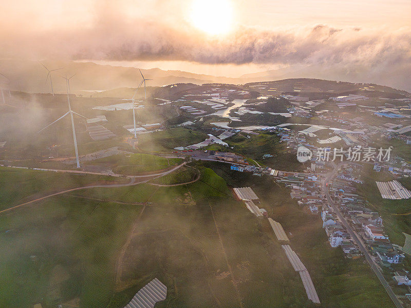 林东省大叻市曹达市上午的空中景观。风吹茶山上，晨景山坡上茶树下