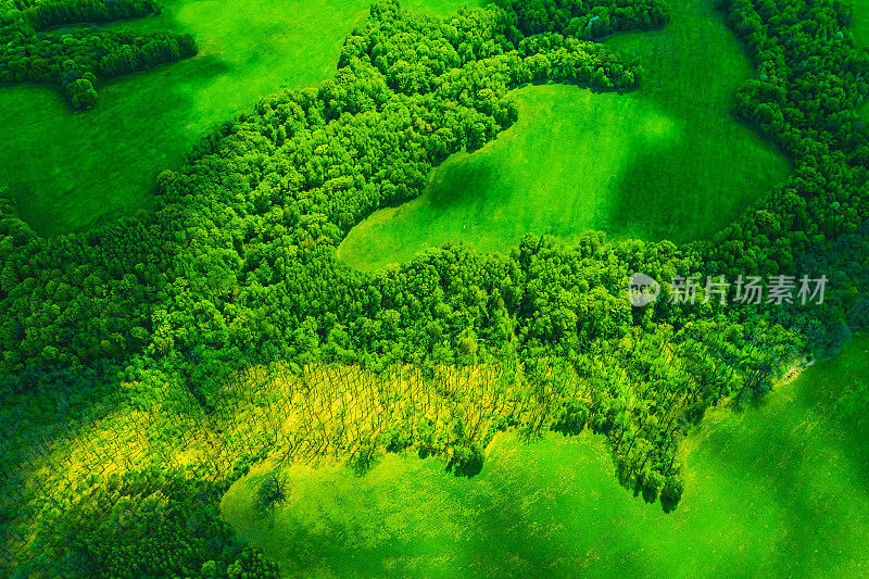 森林无人机摄影。可持续性。空中景观。自然保护。绿色经济