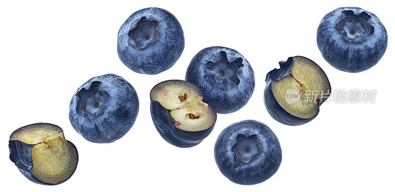 落下的蓝莓，分离在白色背景上的越橘