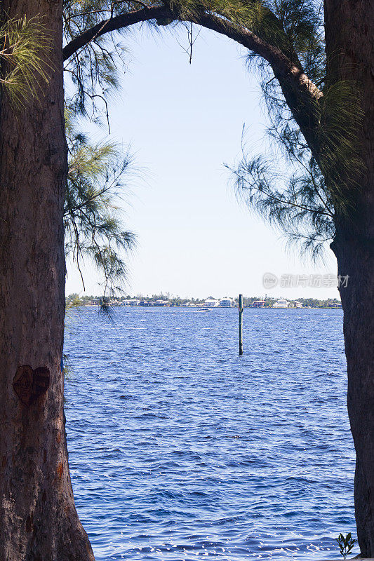 在佛罗里达州珊瑚角的卡卢萨哈奇河的两棵松树之间的景色