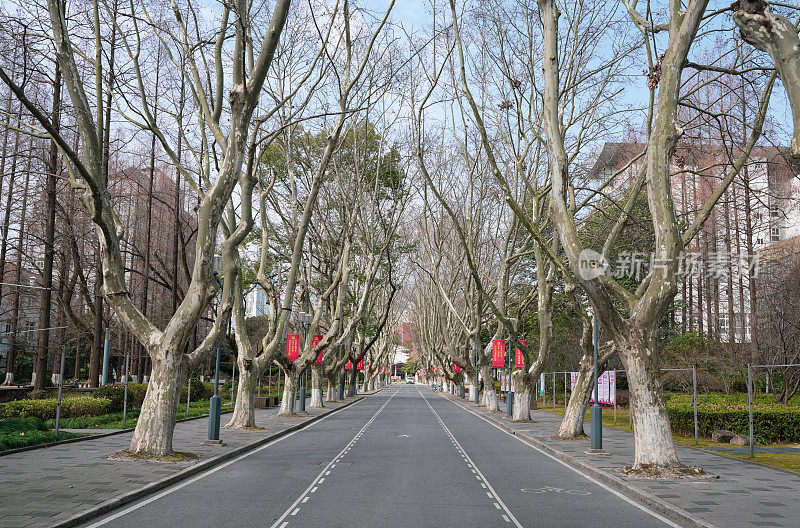 中国上海交通大学徐家汇校区图书馆