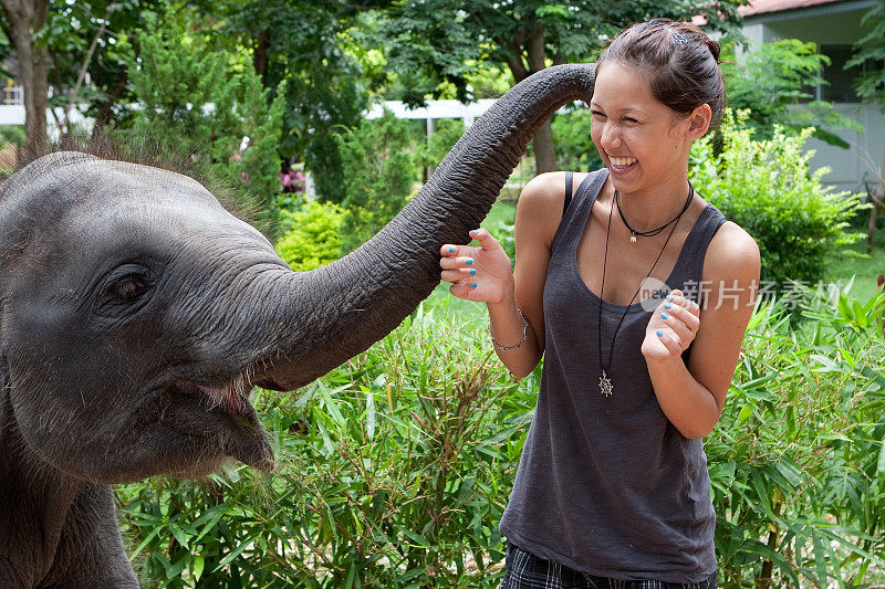 小象和少女玩耍