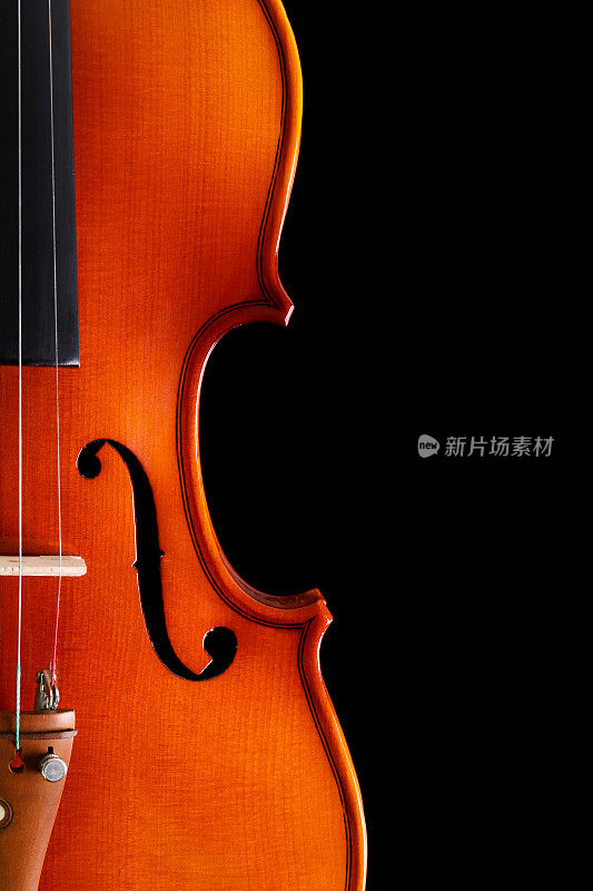 黑色背景下的小提琴