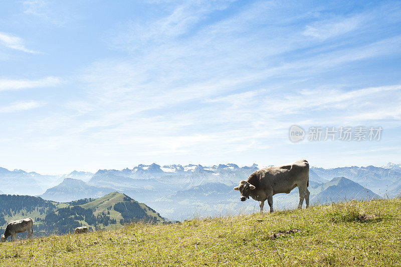 Rigi,瑞士