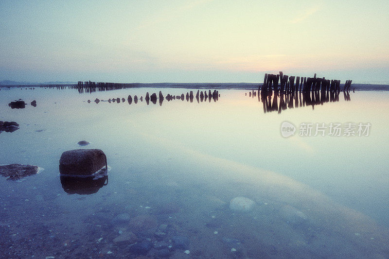 古老的海景图像与老木桩在黎明