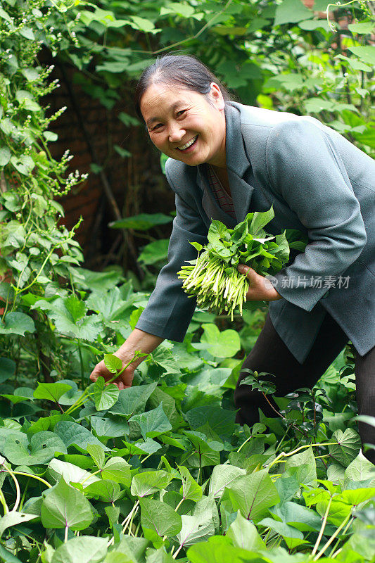 快乐的中国女人在花园里工作