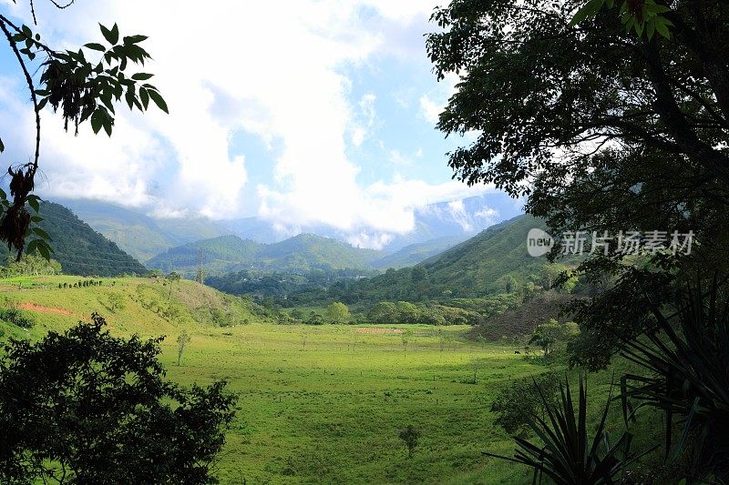 委内瑞拉塔奇拉州山区的小山谷。