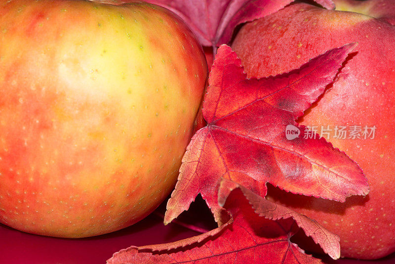 近距离蜜脆苹果与秋天的叶子