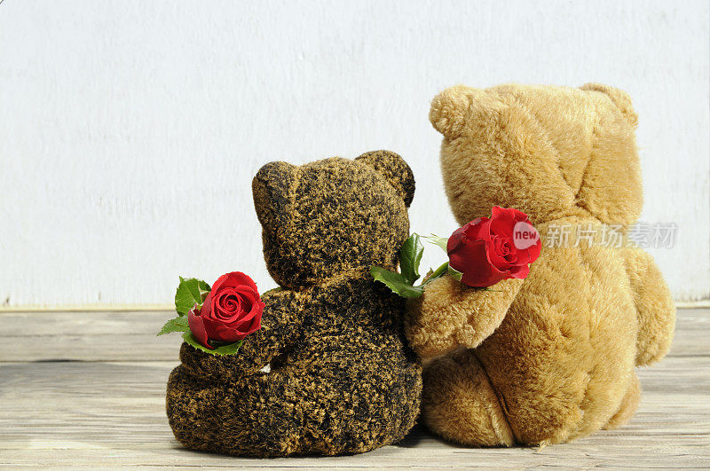 泰迪熊和玫瑰的情人