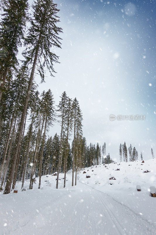 降雪