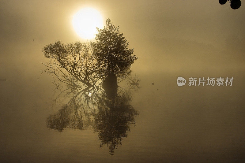 雾中飘浮着棕褐色岛屿