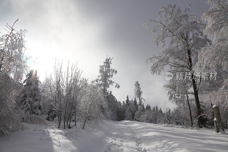 下雪的冬天的风景