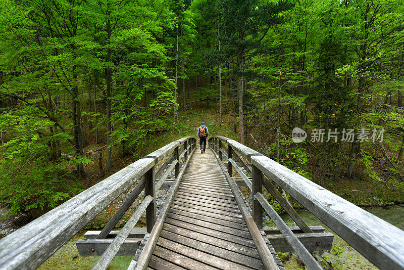 年轻人在森林里徒步旅行